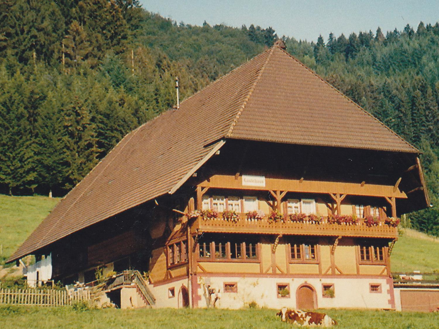 Hotel Waeldebauernhof Gutach Exterior foto